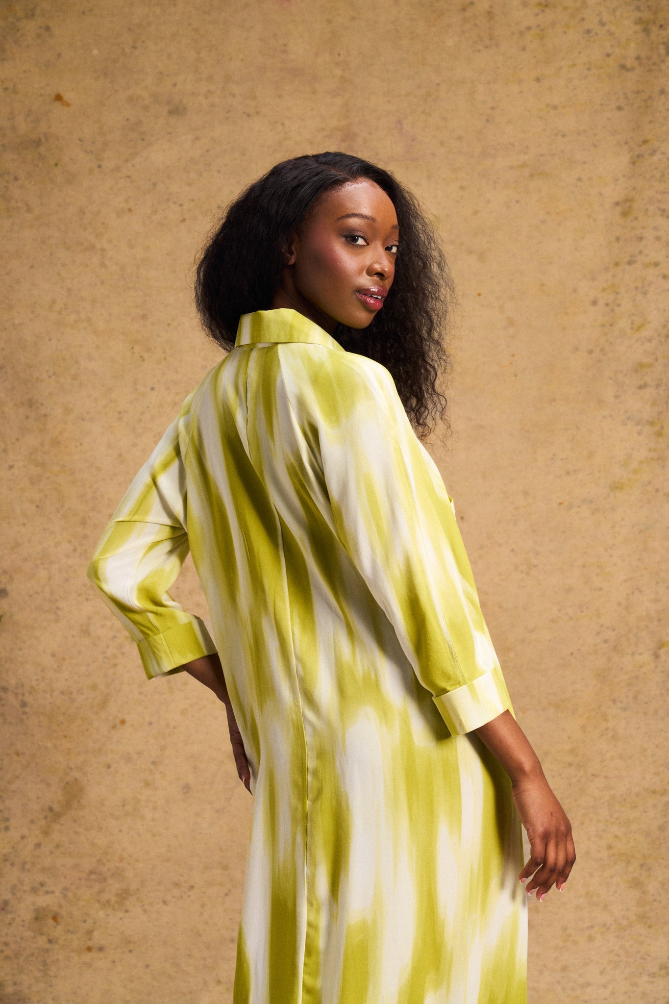 Liza Shirt Dress In Lime Lines