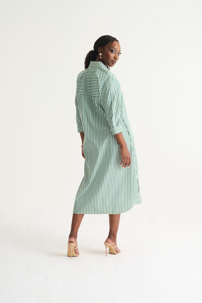 Poplin Shirt Dress