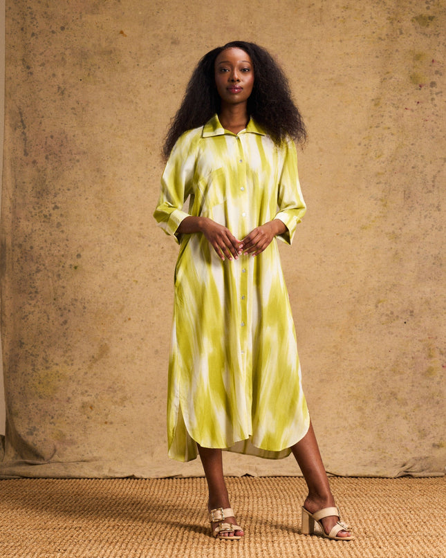 Liza Shirt Dress In Lime Lines