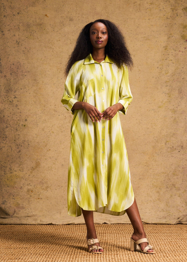 Liza Shirt Dress In Lime Lines