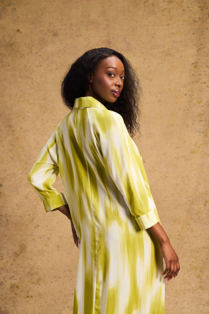 Liza Shirt Dress In Lime Lines